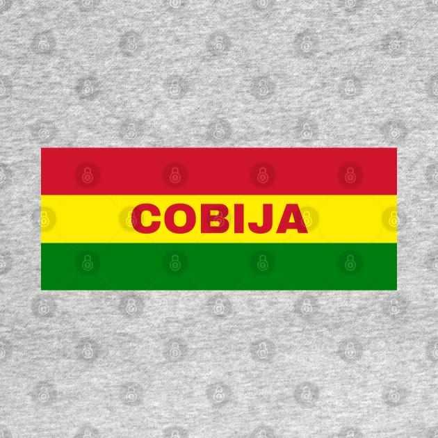 Cobija City in Bolivian Flag Colors by aybe7elf